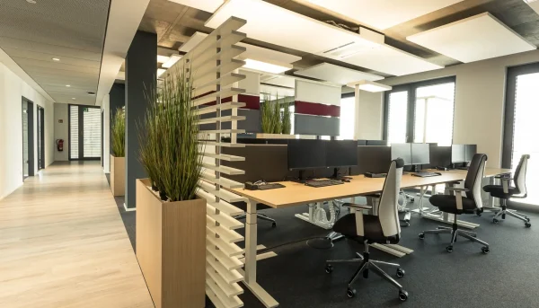 BK_BDO_Mainz_1-scaled