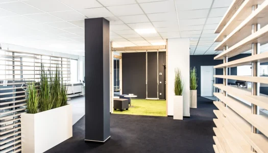 florianmichaelsen_BK_dvinci-11-scaled