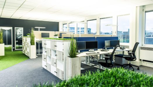 florianmichaelsen_BK_dvinci-12-2-scaled